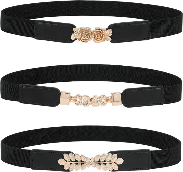 Skinny Belts for Women Dresses