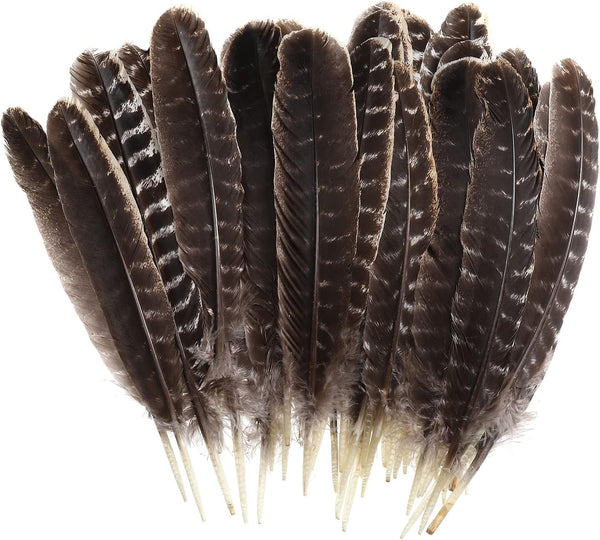 20pcs Wild Turkey Feathers Decoration