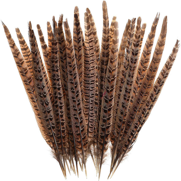 20pcs 8-11inch(21-28cm) Pheasant Feathers for DIY Decoration